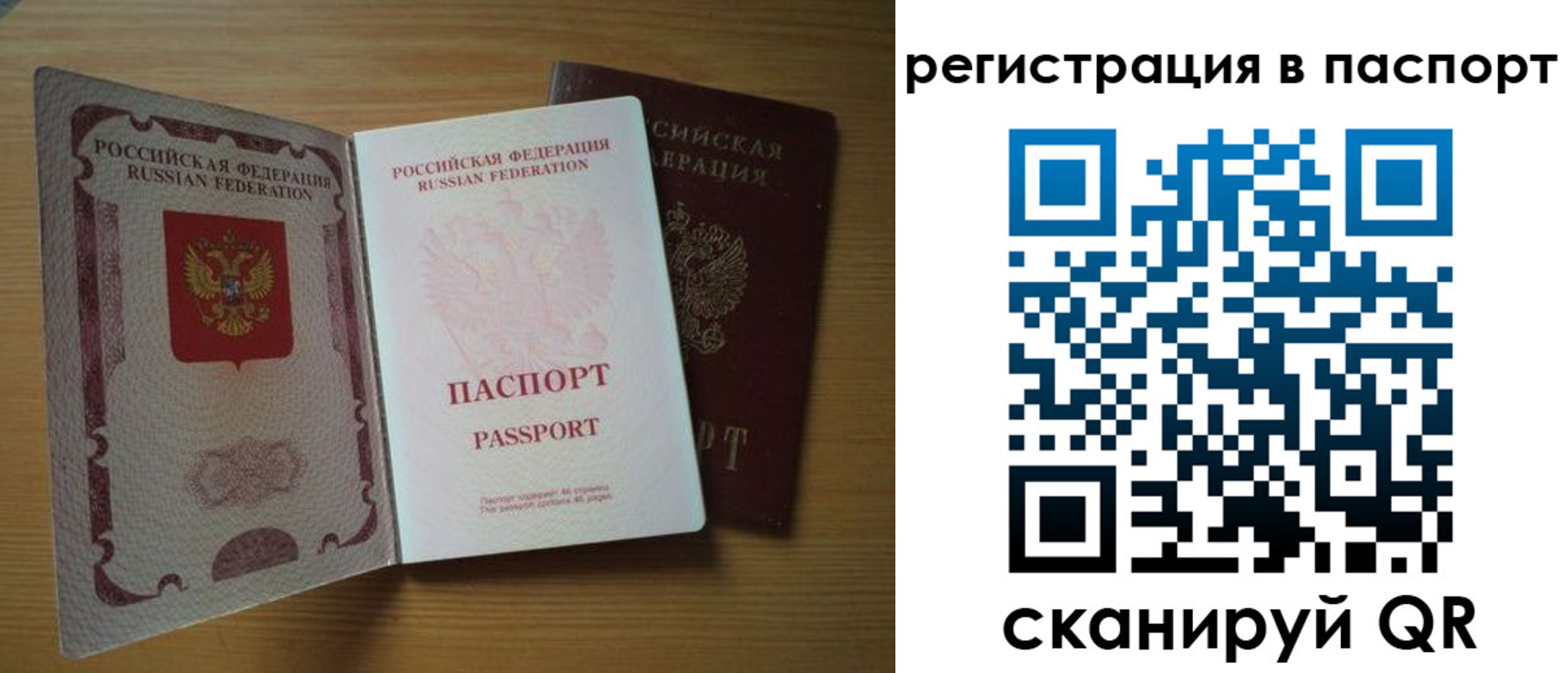 прописка 2025 в Мончегорске